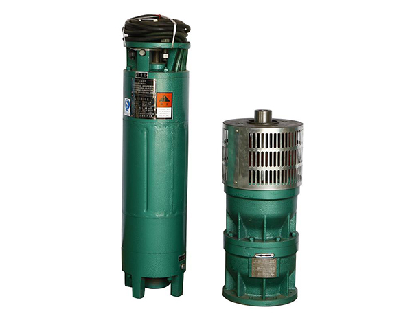 250QJ型潛水電泵